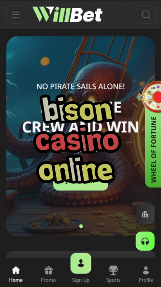 bison casino online-asdasdzhjkds.com
