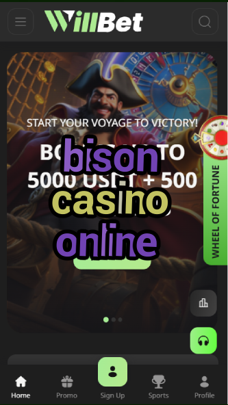 bison casino online-asdasdzhjkds.com